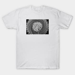 The Flower in White / Swiss Artwork Photography T-Shirt